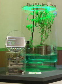 植物工厂的智慧之眼 探秘爱知博览会与丽水农科所的智能监控系统